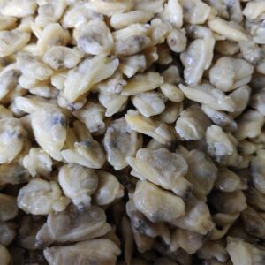 Clam Meat