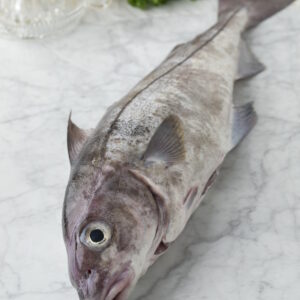 Haddock whole & Gutted