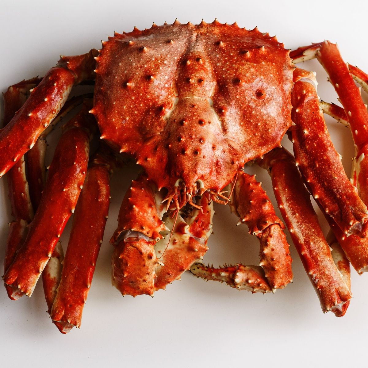 King Crab whole - Frozen