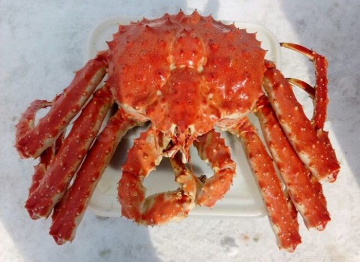 King Crab whole - Frozen - Image 2