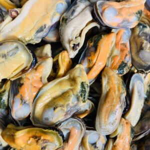 Frozen Raw Mussel Meat