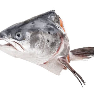Salmon Head V- Cut