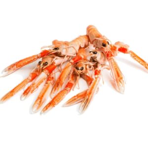 Scampi whole