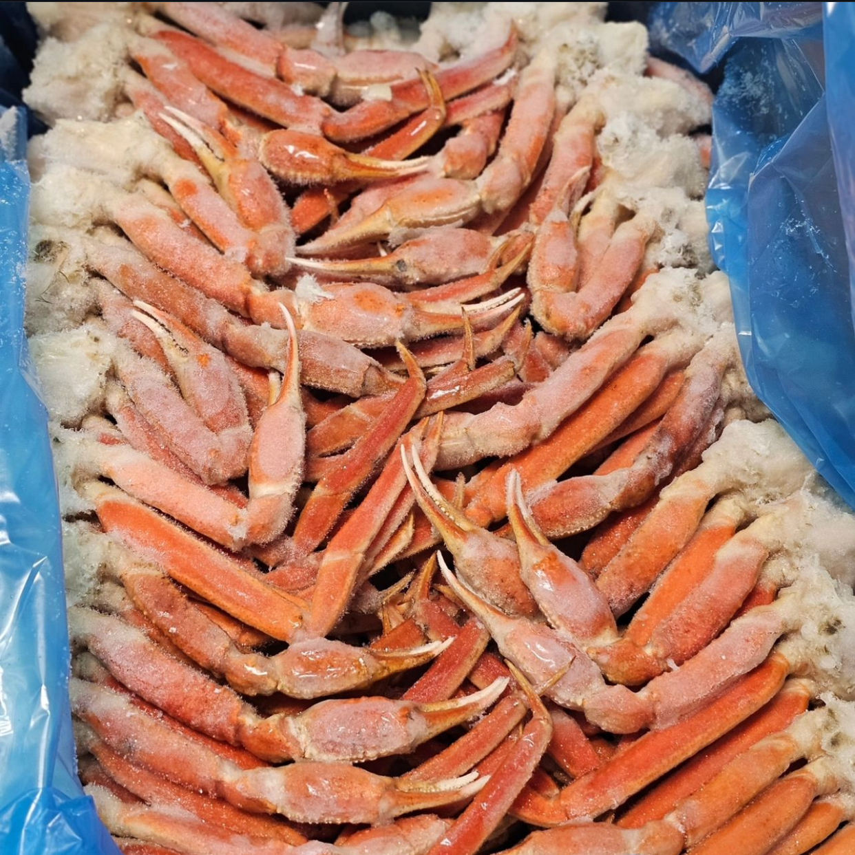 Snow Crab Clusters - Raw Frozen